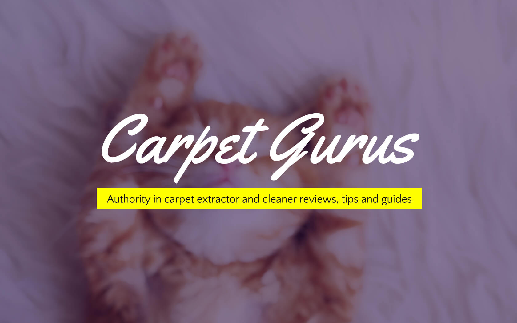 carpetgurus